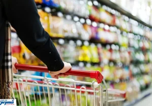 سهمیه پروتئین برای هر ایرانی؛ مدل جدید یارانه کالایی در راه است