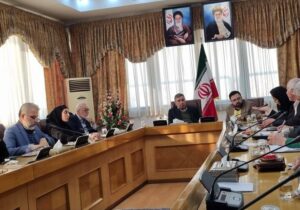 آهی: داشتن دغدغه ایران، معیار اصلی برای شناسایی متخصصان است