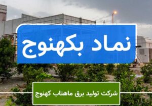 زیاندهی «بکهنوج» برای سومین سال پیاپی / امسال بخت این سهم باز می شود؟