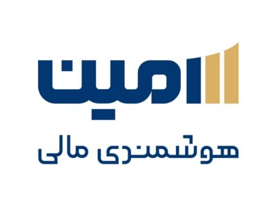 نخستین تامین سرمایه کشور، ۱۳ ساله شد