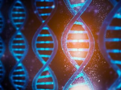 نقشه ۳ بعدی ژنوم جدید انسان راز  DNA را فاش کرد