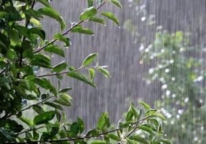 پیش بینی هوای تهران فردا ۱۹ آذر ۱۴۰۴/ تهران در آستانه بارش شدید