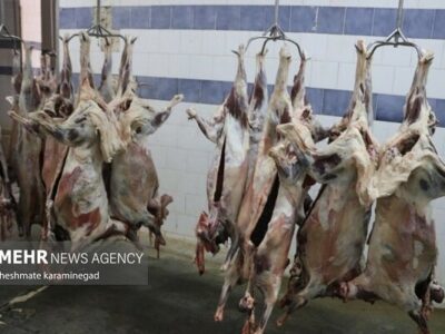 کاهش ۱۰ درصدی قیمت گوشت قرمز در قزوین در دستور کار است