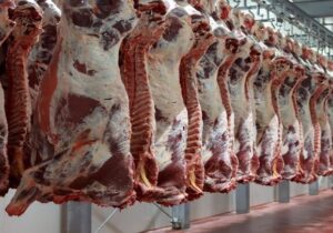 ۹۰ درصد گوشت قرمز از داخل تأمین میشود