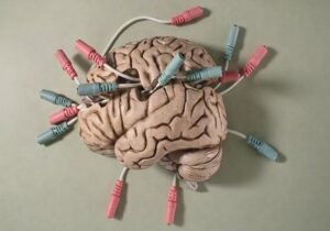 شنیدن صدای دوپامین در مغز زنده