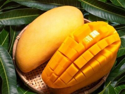 میوه‌ای برای حفظ وزن و کنترل قند خون