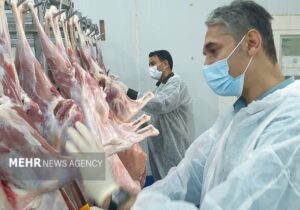 واکنش دامپزشکی گناوه به تعطیلی کشتارگاه سنتی دام