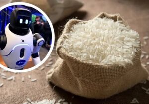 استفاده از برنج در ساخت روبات‌ها و تجهیزات مقاوم در برابر ضربه