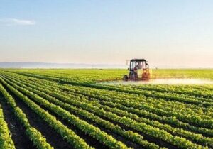 رفع تنگناهای فناورانه برای کاهش وابستگی در حوزه غذا و کشاورزی