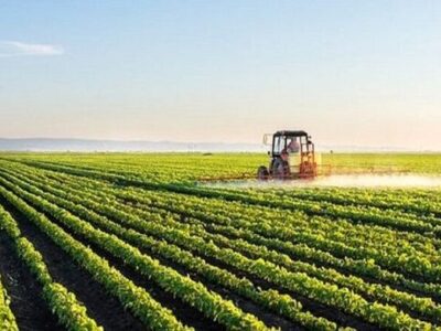 رفع تنگناهای فناورانه برای کاهش وابستگی در حوزه غذا و کشاورزی