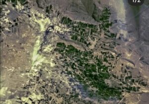 مطالعه پژوهشگر ایرانی دانشگاه تربیت مدرس جهانی شد؛ علفزارها مخزن کربن