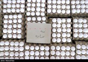 کاهش قیمت تخم مرغ در بازار