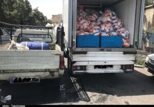 تسریع حمل نهاده‌های دامی از بنادر ضروری است