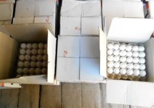 روزانه ۸۰۰ تن تخم‌مرغ مازاد در کشور تولید می‌شود