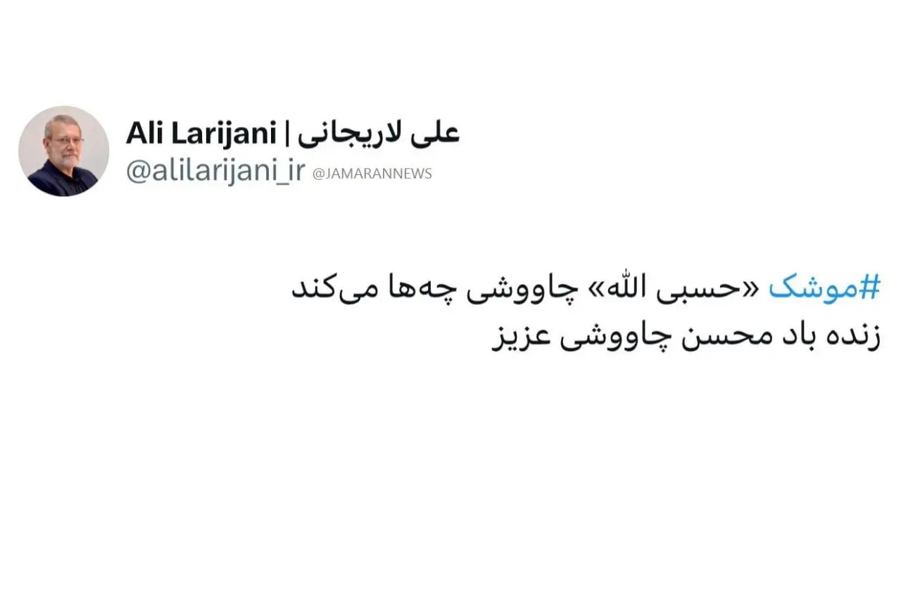 لاریجانی: موشک «حسبی الله» چاووشی چهها میکند لاریجانی: موشک «حسبی الله» چاووشی چهها میکند