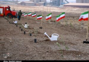 پیگیری طرح رهبر شهید برای کاشت یک میلیارد درخت با قوت بیشتر