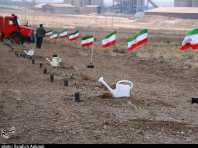 پیگیری طرح رهبر شهید برای کاشت یک میلیارد درخت با قوت بیشتر