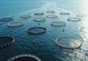 آزمایشگاه تشخیص بیماری‌های آبزیان در چهارمحال‌وبختیاری آغاز به کار کرد