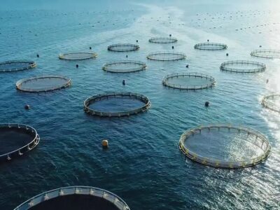 آزمایشگاه تشخیص بیماری‌های آبزیان در چهارمحال‌وبختیاری آغاز به کار کرد