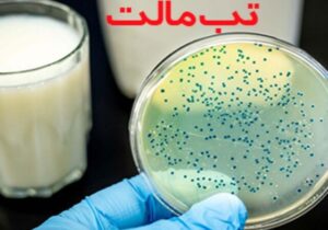 ابتلا به تب مالت در کرمانشاه ۳۴ درصد کاهش یافت