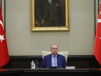 اردوغان استفاده از اسلحه در ترکیه را محدود می‌کند