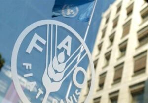 رشد ۲.۴ درصدی قیمت جهانی غذا در یک ماهه جنگ آمریکا علیه ایران