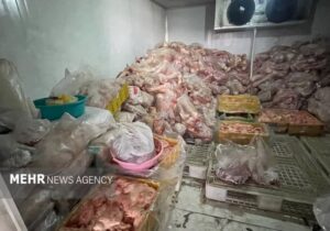 معدوم‌سازی ۷۷۰۰ کیلوگرم مواد خام دامی غیربهداشتی در تبریز