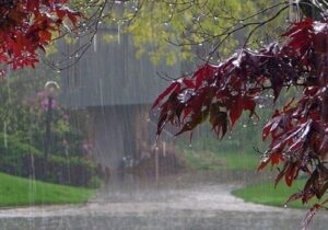 هشدار به تهرانی‌ها/ سامانه بارشی و باد شدید در راه است