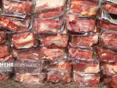 ۶۳ هزار بازدید از مراکز عرضه فرآورده های دامی در ایلام انجام شد