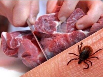 افزایش دمای هوا در فهرج؛ زنگ خطر شیوع تب کنگو به صدا درآمد