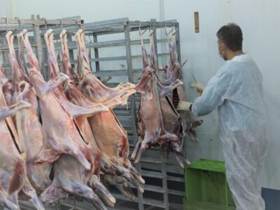 جنگ فعالیت دامپزشکی اصفهان را تعطیل نکرد؛کشف ۵۴تن محصول غیربهداشتی