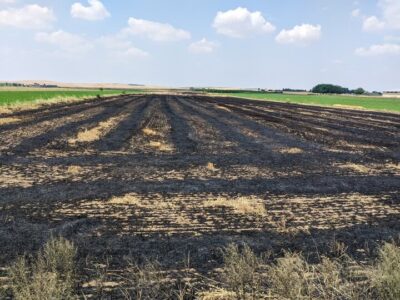 خسارات جبران‌ناپذیر آتش‌زدن بقایای مزارع؛ کشاورزان پلدختری آموزش دیدند