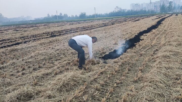 خسارات جبران‌ناپذیر آتش‌زدن بقایای مزارع؛ کشاورزان پلدختری آموزش دیدند