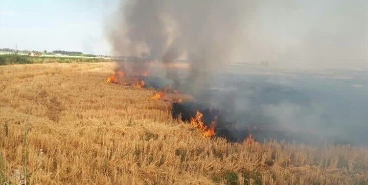 خسارات جبران‌ناپذیر آتش‌زدن بقایای مزارع؛ کشاورزان پلدختری آموزش دیدند