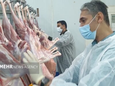 رفع بخشی از مشکلات کشتارگاه شوشتر با ورود مدیران قضایی