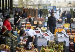 طرح تشدید نظارت بر کالاهای کشاورزی کلید خورد/ ۳۱ هزار پرونده تخلف در ۱۴۰۴