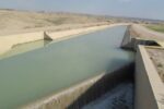 عباسی نژاد: مدیریت دقیق منابع آبی زیربنای توسعه کشاورزی در بوشهر است
