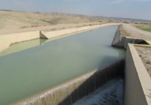 عباسی نژاد: مدیریت دقیق منابع آبی زیربنای توسعه کشاورزی در بوشهر است