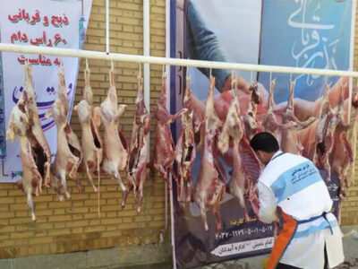 فعالیت ۸۸ اکیپ دامپزشکی برای نظارت بر ذبح شرعی در آذربایجان‌شرقی