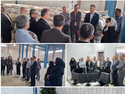 مدیرکل شیلات بوشهر: حمایت از واحدهای تولیدی بومی در اولویت است