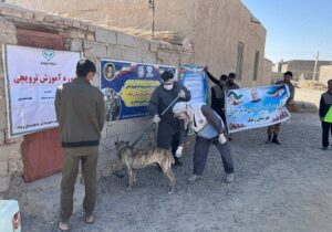 واکسیناسیون بیش از ۲هزار قلاده سگ علیه بیماری هاری در سیستان وبلوچستان