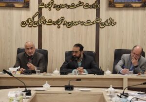 پورحیدری: تیم اقتصادی گیلان در خدمت تولید است