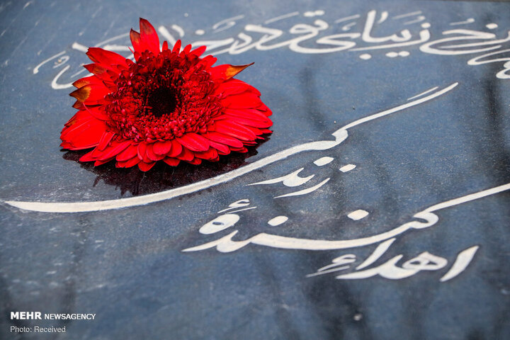 چرا آمار اهدای عضو سقوط کرد؟