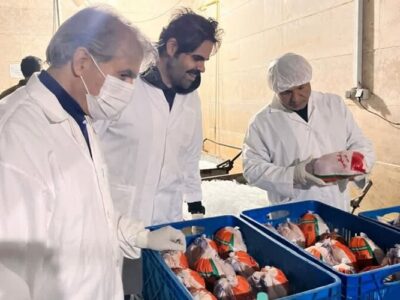 یارویسی: سلامت گوشت طیور خط قرمز دامپزشکی است
