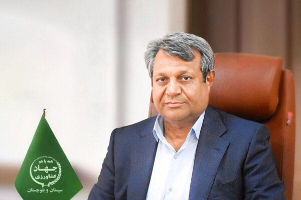 ۱۴ واحد جدید مرغداری در سیستان و بلوچستان احداث میشود ۱۴ واحد جدید مرغداری در سیستان و بلوچستان احداث میشود