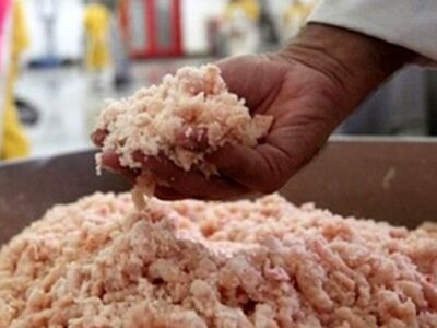 ۱۵ تن خمیر مرغ غیر بهداشتی در شهرضا توقیف شد