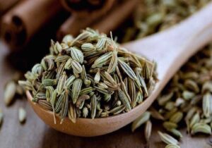 ایجاد صنایع تبدیلی رازیانه در رزن یک ضرورت است