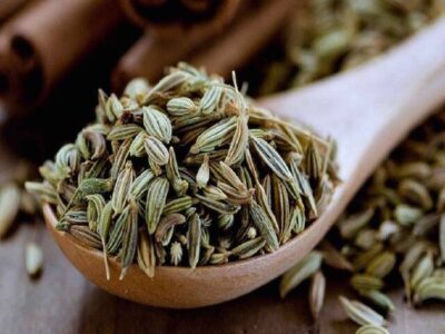 ایجاد صنایع تبدیلی رازیانه در رزن یک ضرورت است