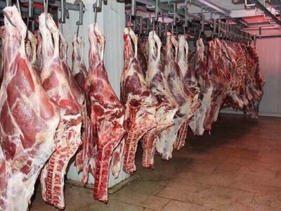بیش از ۲۰۰ کیلوگرم گوشت غیرمجاز در کرمانشاه معدوم شد