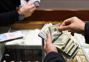 تغییر مهم در سیاست ارزی کشور / تخصیص ارز هدفمند شد